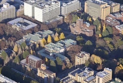 일본 도쿄대학교 사진교도 연합뉴스