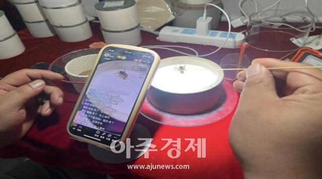 사진중국산둥망