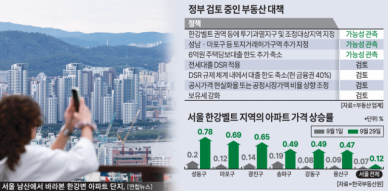 "6·27도 약했다"…서울 집값 반등에 이번 주 '더 센 카드' 꺼낸다