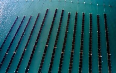 [소프트텔링 ESG] 김부터 연어까지…해양 온난화 시대의 대안 육상양식이 뜬다