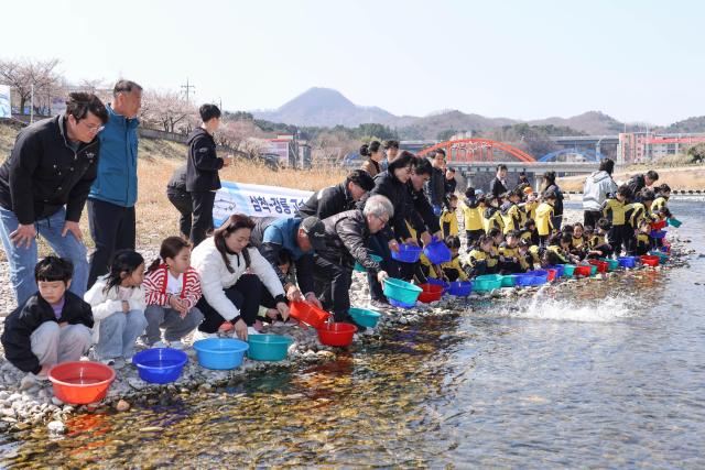 어린연어 방류사업 사진삼척시