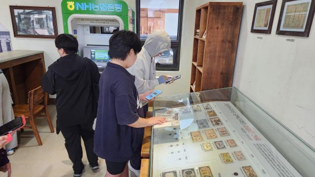 강원 철원군에서 열리고 있는 ‘두루미의 보물찾기’ 사진철원군