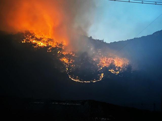 지난 25일 발생한 안동시 길안면 산불 장면 사진경상북도소방본부