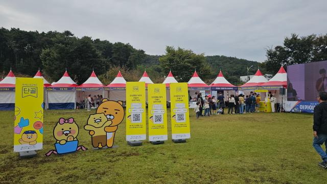 사진안성시