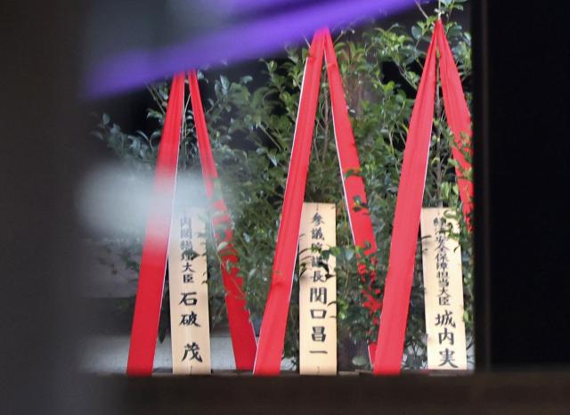 17일 오전 일본 도쿄 야스쿠니신사에 이시바 시게루 총리가 봉납한 공물이 놓여 있다 마사카키라고 하는 이 공물은 비쭈기나무 화분이다 사진연합뉴스