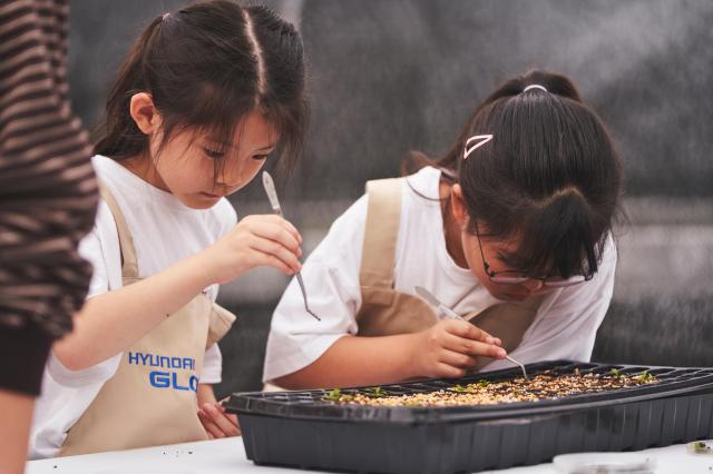 서울 노원구 상원초등학교 학생들이 경기도 이천 트리플래닛 스마트팜에서 열린 현대글로비스 생태숲 체험활동에 참여해 자생식물을 심고 있는 모습이다 사진현대글로비스