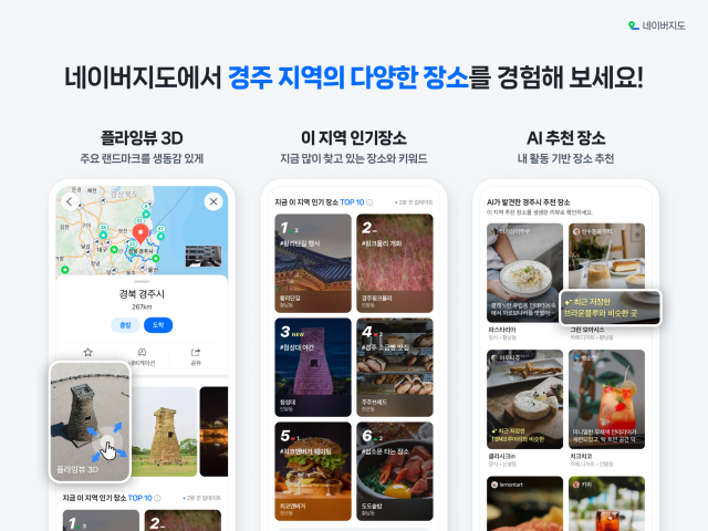 네이버지도 플라잉뷰3D 발견피드 사진네이버
