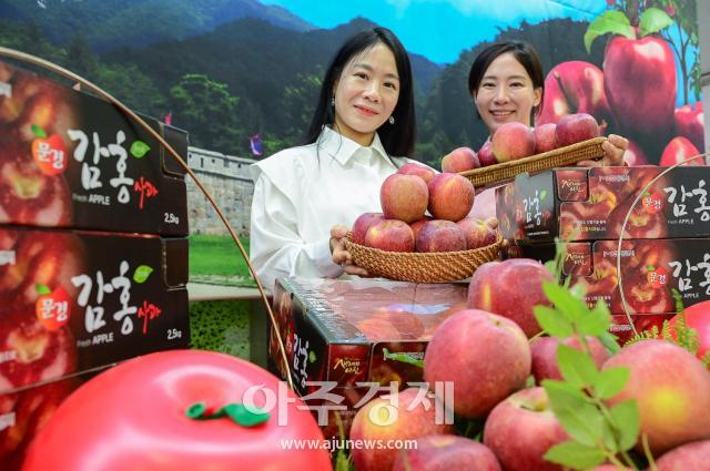 사진농협유통