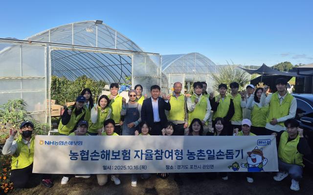 NH농협손해보험이 직원들이 자율적으로 팀을 만들고 농촌을 방문해 봉사활동을 진행하는 자율참여형 일손돕기 프로그램을 본격 추진한다 사진NH농협손해보험