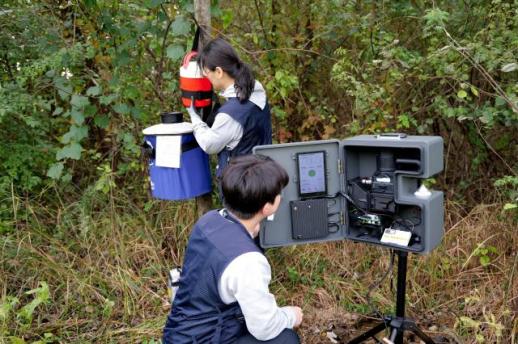 AI로 모기 잡는다…서울시, 실시간 모기 레이더 가동