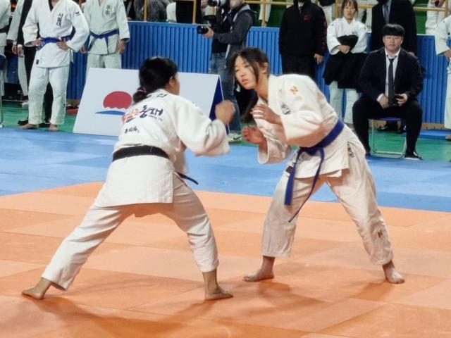지난해 유도대회 사진이동원 기자