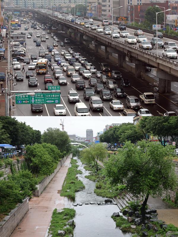 Rare freshwater fish returns to life in Seouls Cheonggyecheon Stream