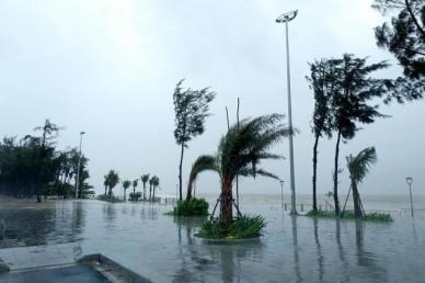 다낭·꽝찌·꽝응아이 전역 초비상…폭우에 강 범람 경보 3단계 돌입