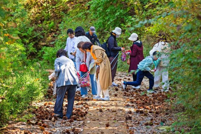 청리움 ‘2025 가을걷이 축제’ 성황리 개최
