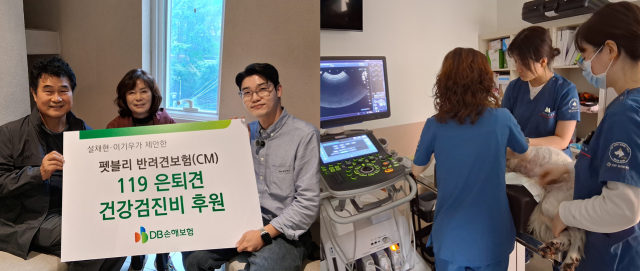 DB손해보험이 9일 펫 전문 인플루언서 설채현 수의사·이기우 배우와 함께 119은퇴견 건강검진비 후원을 진행했다 사진DB손해보험