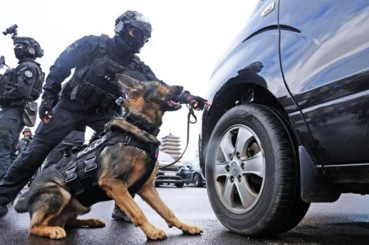 【2025 APEC】APEC峰会在即 韩国加大非法滞留外国人管控力度