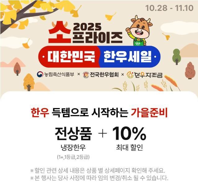 사진NS홈쇼핑