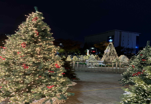 2024년 성탄트리 전경 사진인천광역시