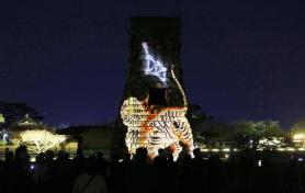 PHOTOS: Media art bathes Gyeongjus historic sites for APEC
