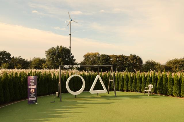 2025년 10월 21일 서울 마포구 하늘공원에서 열린 억새축제 AJP Han Jun-gu