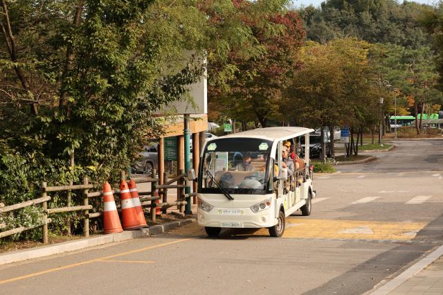 2025년 10월 21일 서울 마포구 하늘공원에서 열린 억새축제 AJP Han Jun-gu