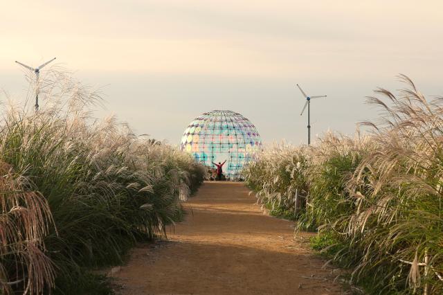 2025년 10월 21일 서울 마포구 하늘공원에서 열린 억새축제 AJP Han Jun-gu