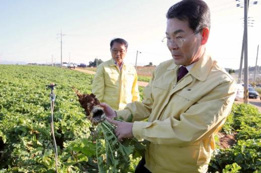 권익현 부안군수, 김장 채소 병해충 피해 현장 방문