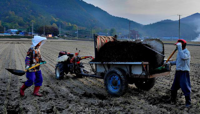 전라남도는 환경친화적 자연순환 농업을 정착하고 고품질 친환경 농산물 생산을 지원하기 위해 오는 11월 5일까지 2025년 유기질비료 지원사업 추가 신청을 받는다사진전남도