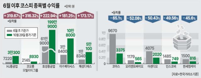 수익률 최상위 최하위 종목들