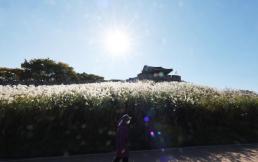 서울 가을 감성 명소 데이터로 실시간 집계…궁 1위·서울숲 2위