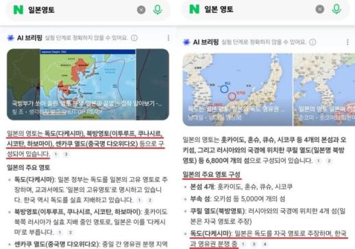 독도는 일본 땅?…네이버 AI 오류 논란