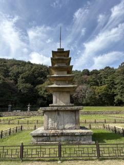 NCT위시부터 프레데터 주토피아까지…롯데시네마가 광음시네마 11월 라인업