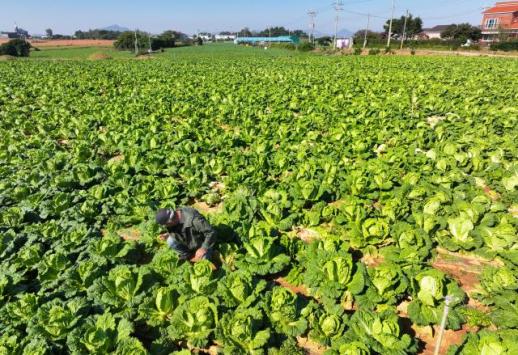 [2025 국감] 국내 수산물 92% 유통이력 불투명…관련 예산은 줄어