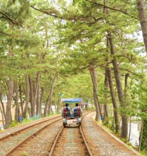 [강원 소식] 삼척해양레일바이크, 개장 15주년 맞이…지역 대표 관광명소 입증 外