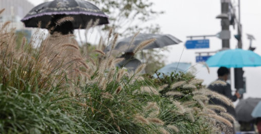 헌재·대법, 재판소원 두고 국감서도 충돌…소송지옥 vs 4심제 우려