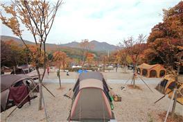 문체부가 선정한 올해 우수 공공야영장 15곳은?