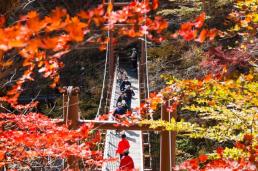 LS證 한미반도체, 내년 TCB 점유율 상승 기대…목표가↑