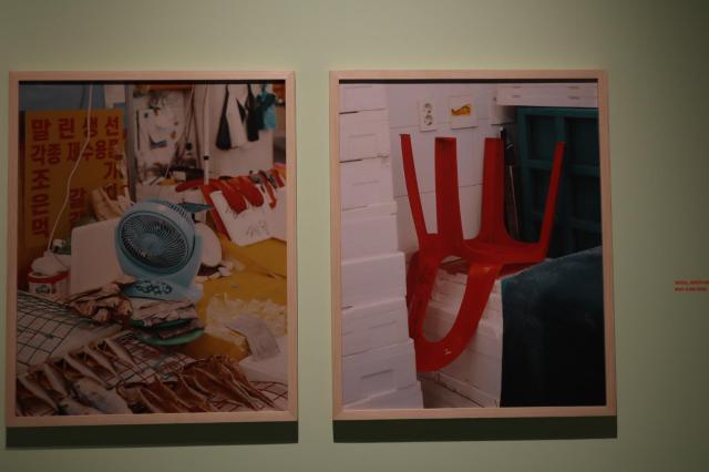 사진 김호이 기자