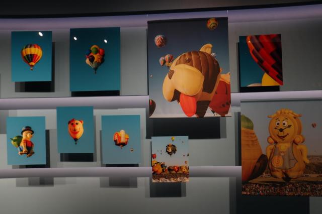 사진 김호이 기자