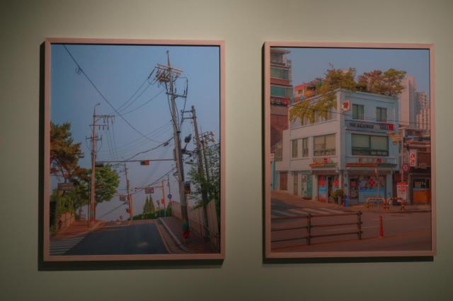 사진 김호이 기자