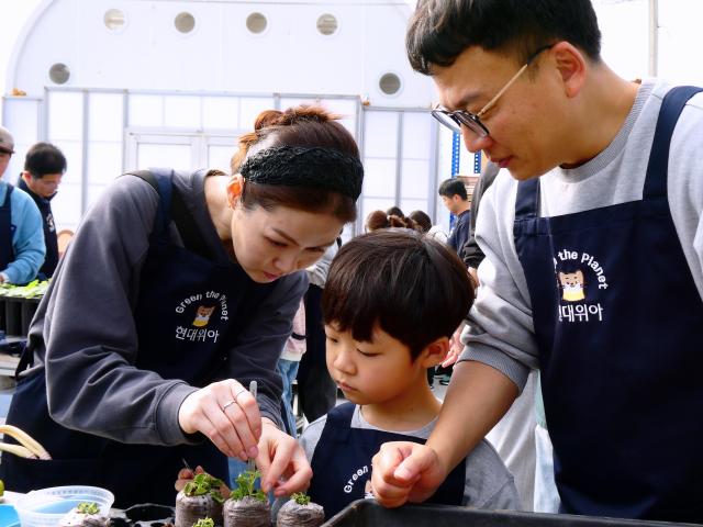 현대위아 임직원과 가족들이 지난 1일 경기도 이천시 포레스트벤처스 식물연구센터에서 오동나무 묘목을 분갈이하는 모습 사진현대위아