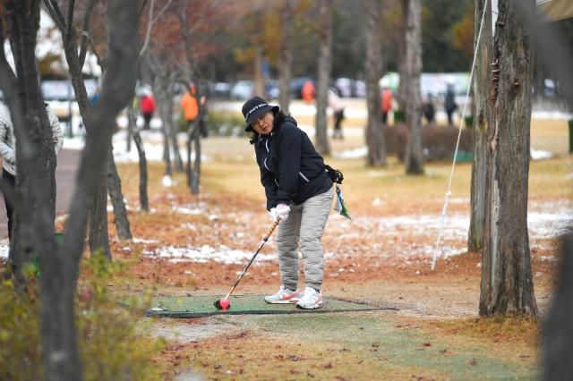 지난해 강원 화천에서 열린 2024 전국 파크골프 왕중왕전 대회사진화천군