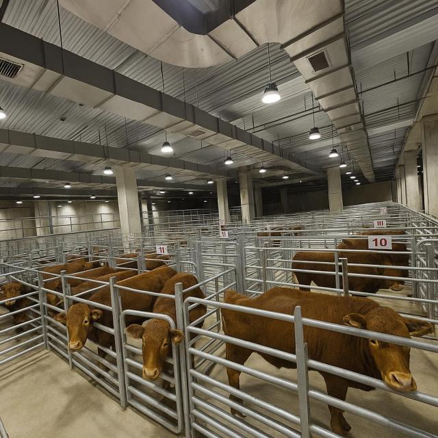 익산 축산물 도매시장 내부사진전북특별자치도