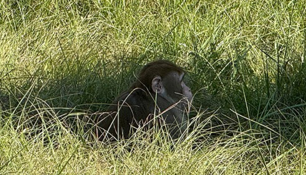 사진AP연합뉴스