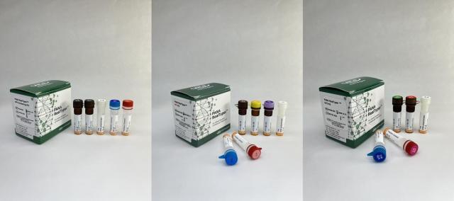 유럽연합 체외진단의료기기 규정 인증CE IVDR을 획득한 감염성 질환 진단 제품 3종 이미지사진HLB파나진

