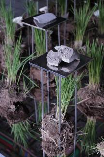 깨진 기와가 현대예술로…잠자던 유물, 덕수궁서 피어나다