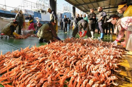 영덕대게, 풍어 기원과 함께 2025년 첫 위판 시작