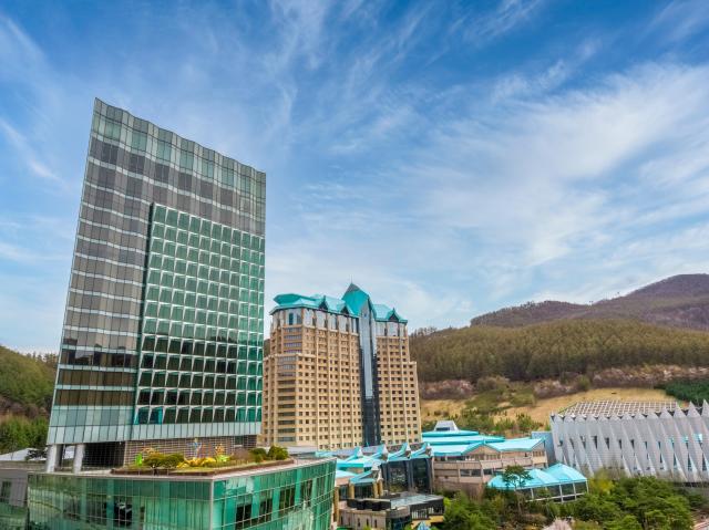 강원랜드 메인호텔 전경 사진강원랜드