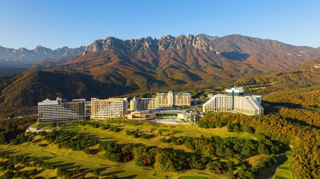 대명소노그룹 소노호텔앤리조트 고성 델피노 전경 사진대명소노그룹