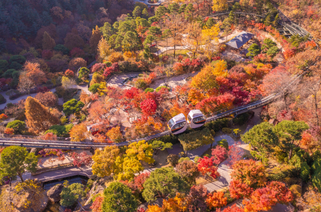 수도권 가을 단풍 명소 화담숲 모습 사진곤지암리조트